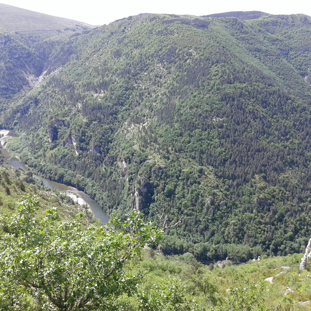 Panorama de Cabrunas - Laval du Tarn