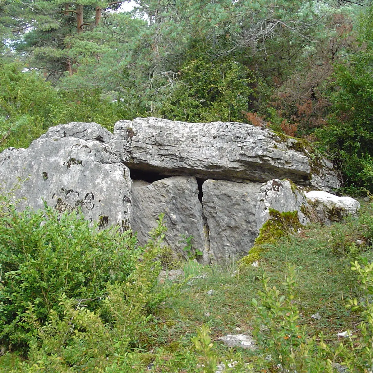 dolmen du Chardonnet_3