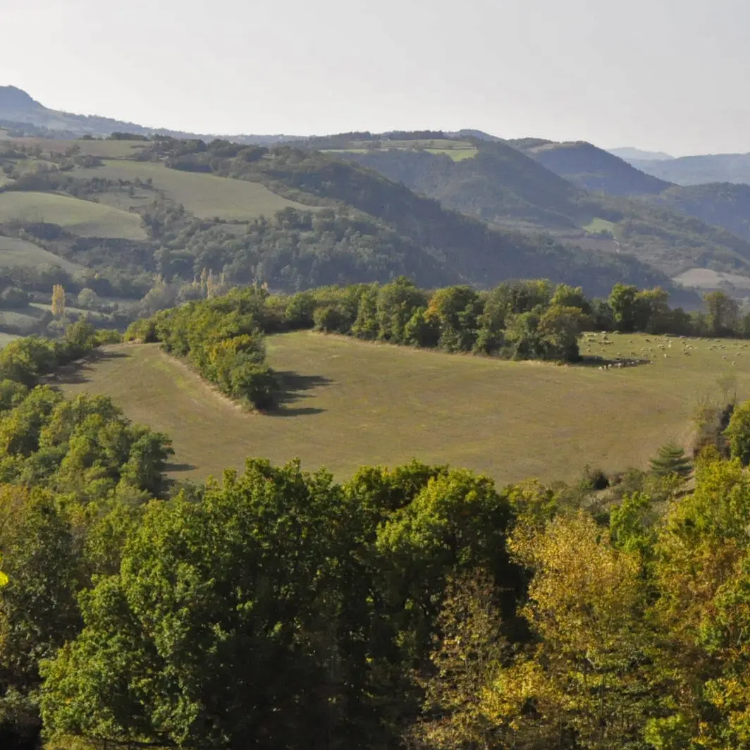 Vue du village de Coustous_1