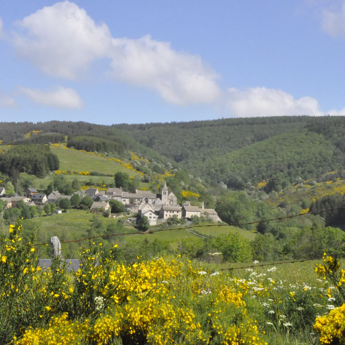 Le plateau de l'Aubrac