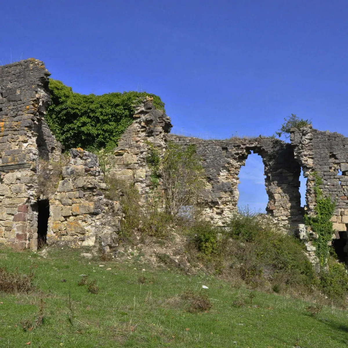 Ruines du château de Montferrand_2