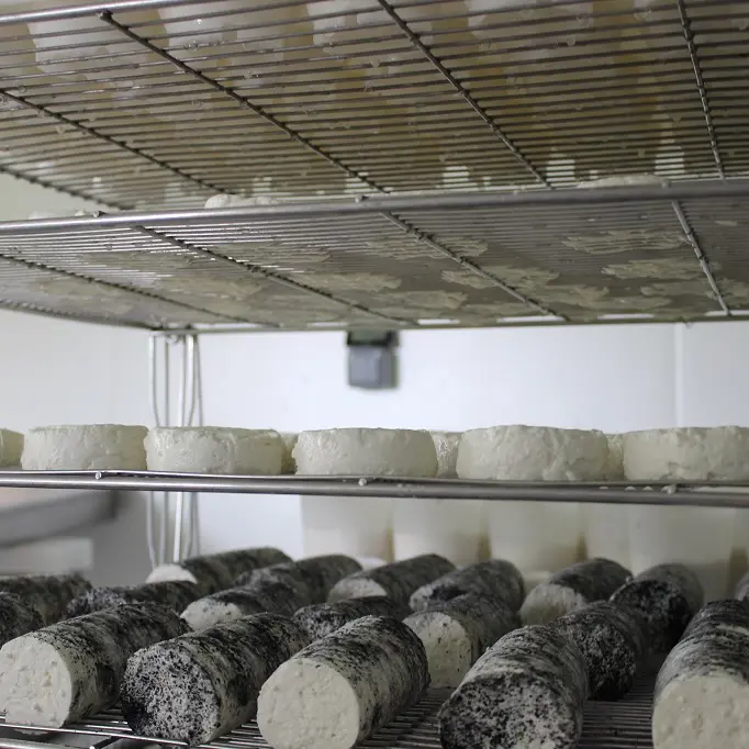 vallee-de-la-sarthe-Meche-fromages