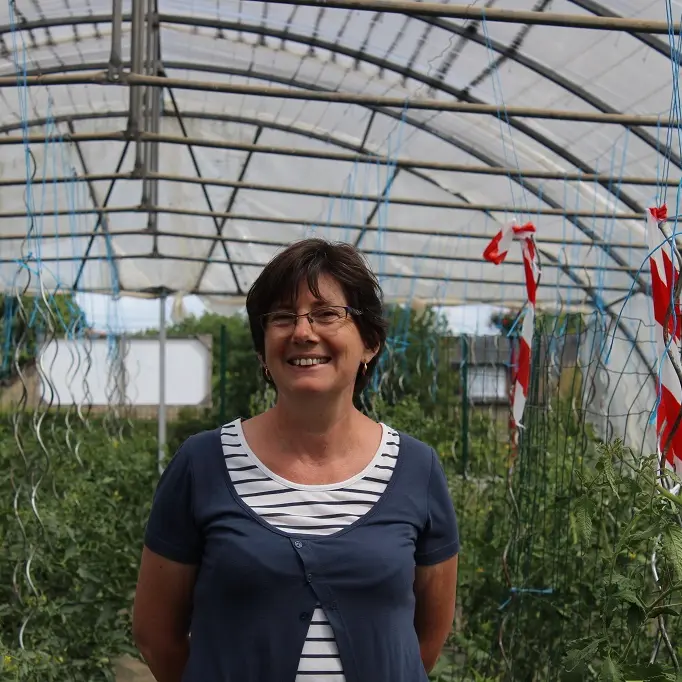 vallee-de-la-sarthe-Hode-Serres-Tomates