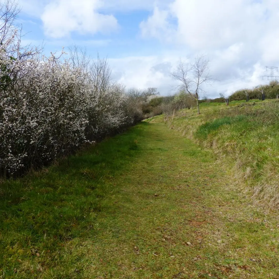 Coteau de Vilclair sentier