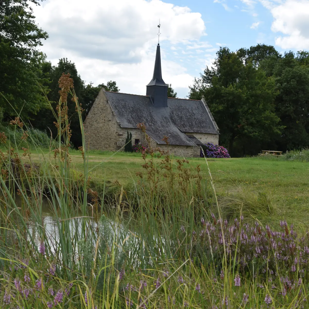 Planté 2020 Près de l'étang