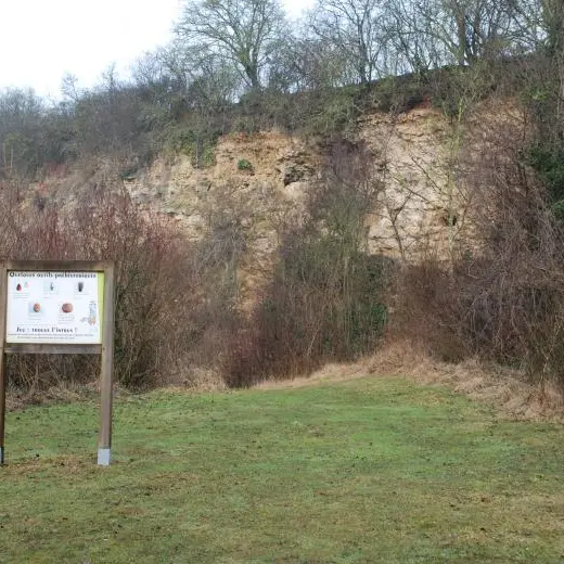 Coteau de Vilclair front de taille