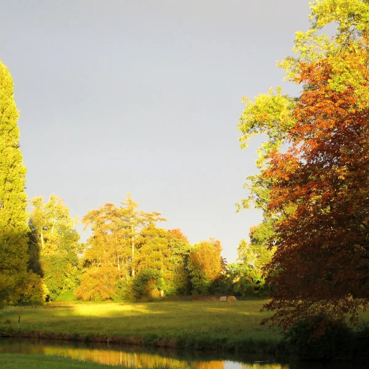 parc-launay-baffert--2-