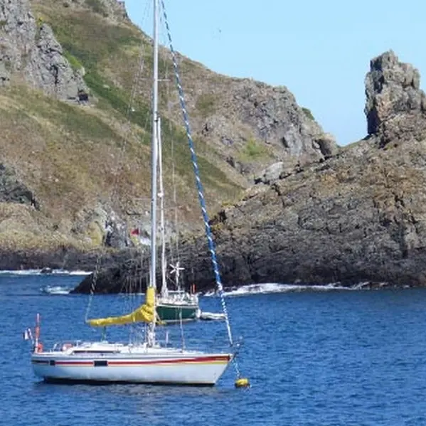 voidie-voile-3