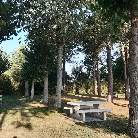 Aire de pique-nique - Hauteville - Avenue du Sud (5)