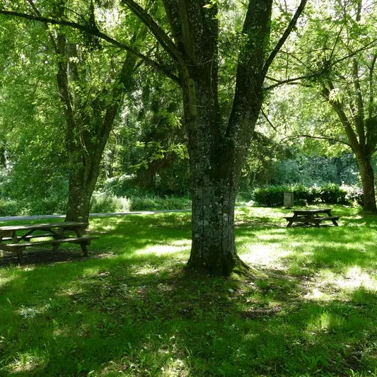 Aire pique nique gavray sur sienne petite route vers abbaye D198 (3)