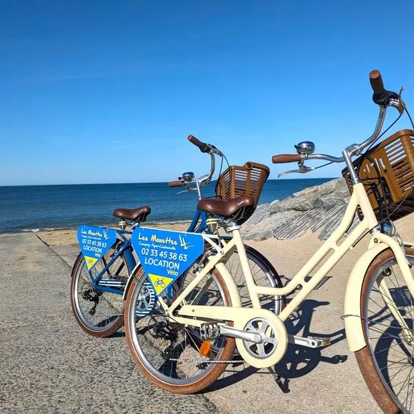 Location vélos agon coutainville les mouettes 1