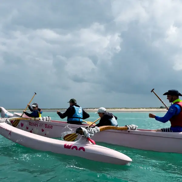 Visuel pour OTI - Tourninsoft - PIR 1