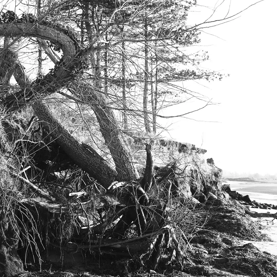SIMONETAVARES _LE PHE╠üNOME╠ÇNE DU GRAIN DE SABLE_ VANITE╠ü7