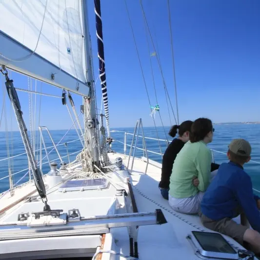 VOIDIE VOILE