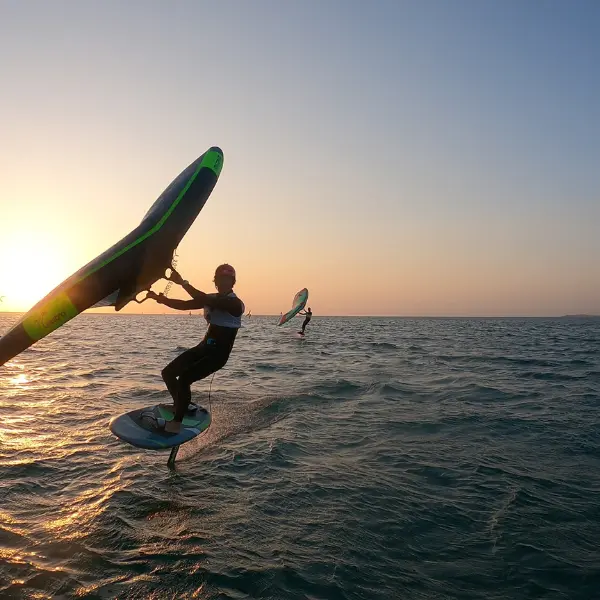 Visuel pour OTI - Tourninsoft - WING 2