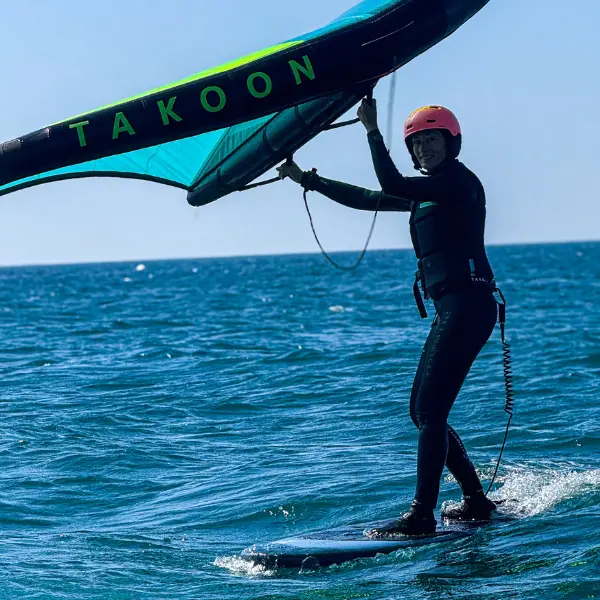 Visuel pour OTI - Tourninsoft - WING 3