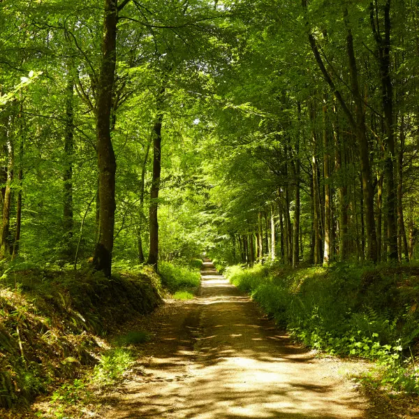pied-grand-tour-lucerne-outremer_alexandre-lamoureux_02