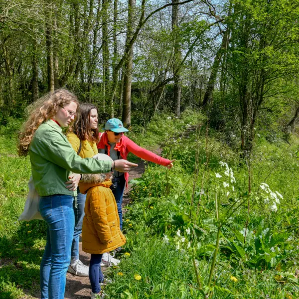 pied-la-vallee-de-l-oiseliere-balade-saint-planchers_benoit-croisy_01