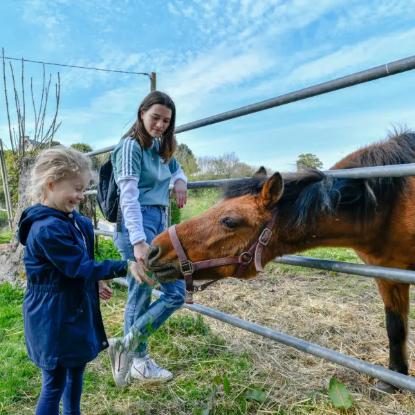 pied-la-vallee-de-l-oiseliere-balade-saint-planchers_benoit-croisy_03