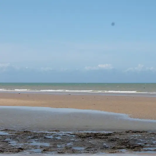 plage montmartin sur mer avril 2017 (115)