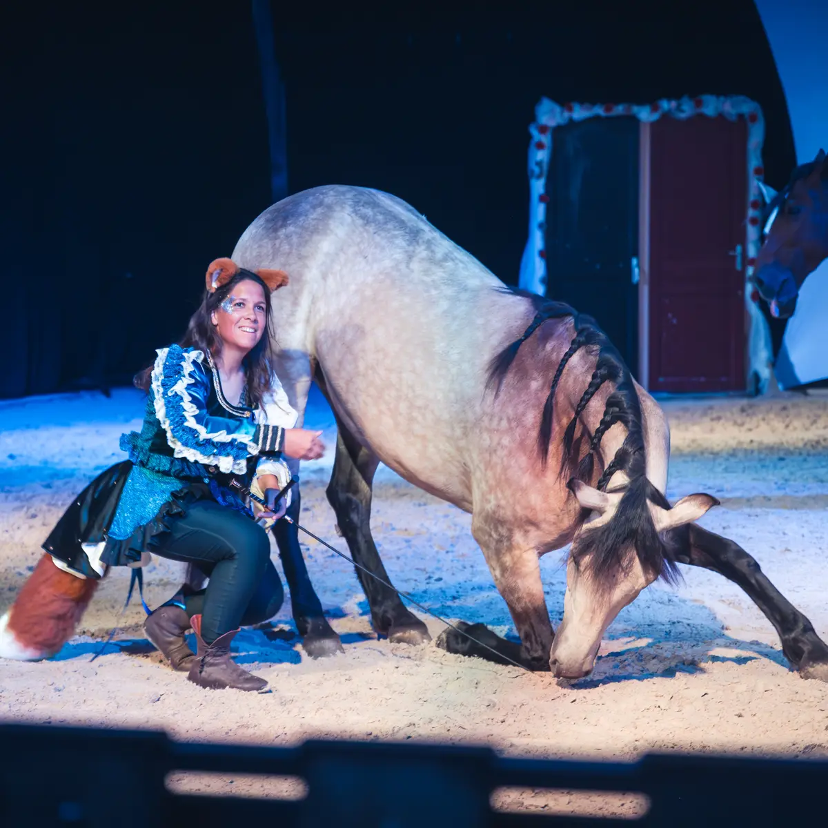 Théâtre Equestre de Champagne