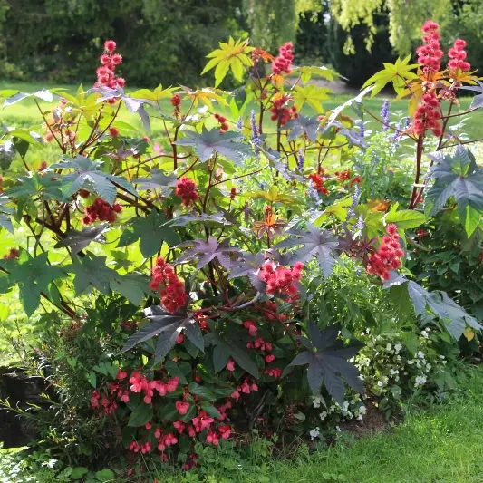 Coolus(2)©Christian Ferrand