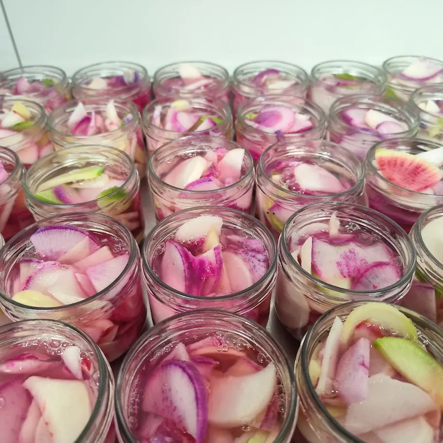 L'Epicurieuse du Der - Radis