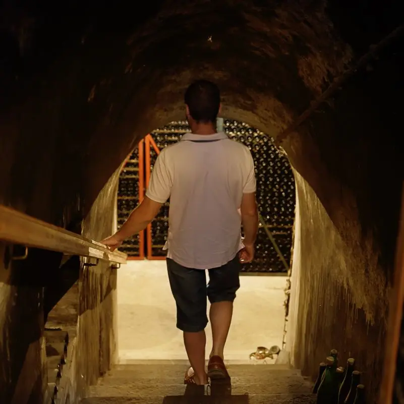 champagne-alfred-tritant-visite-des-caves