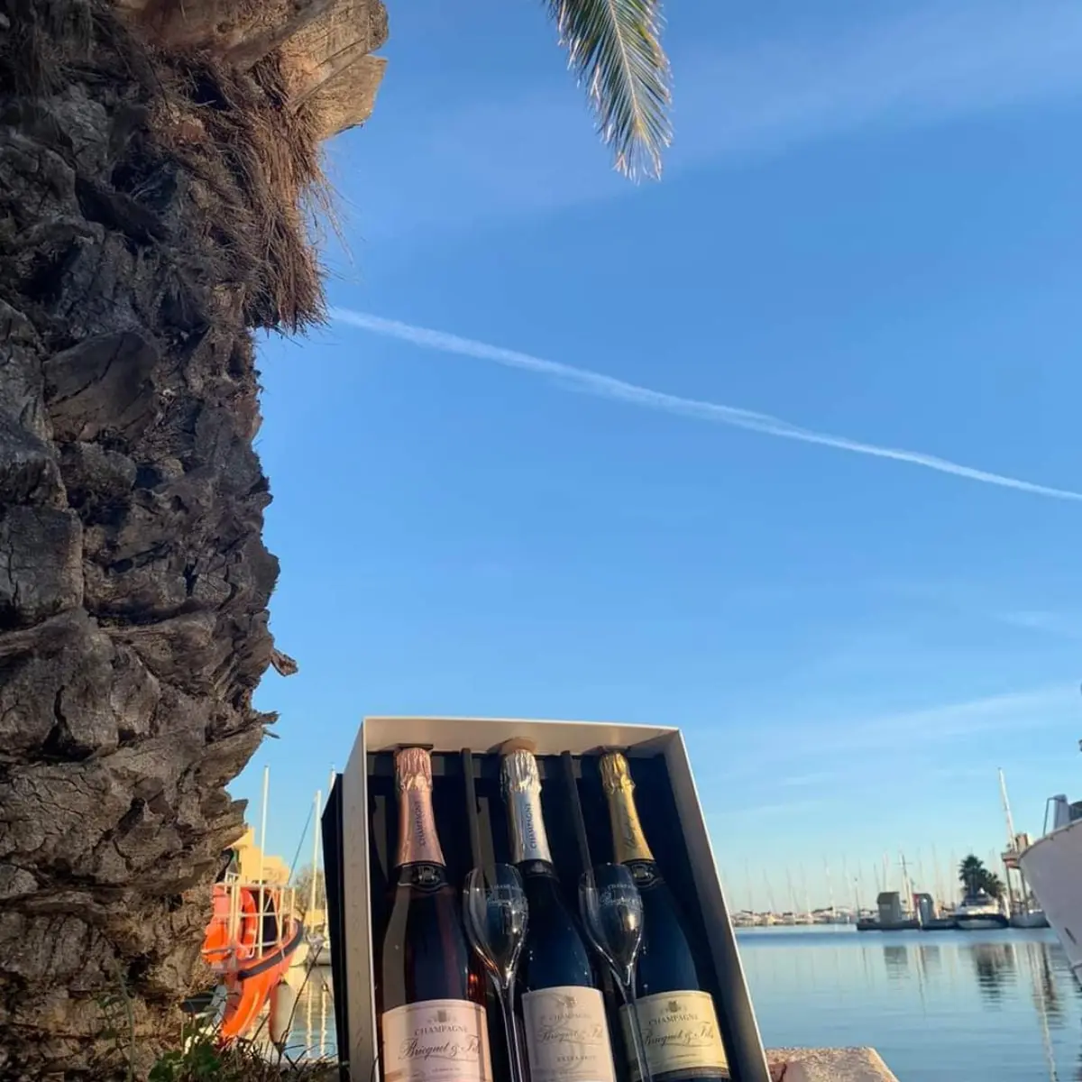 champagne-bricquet-et-fils-gamme-2-min