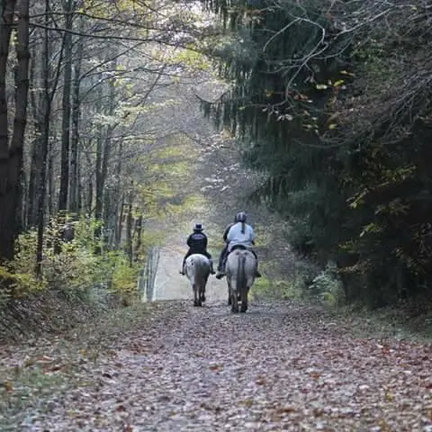 Balade à cheval