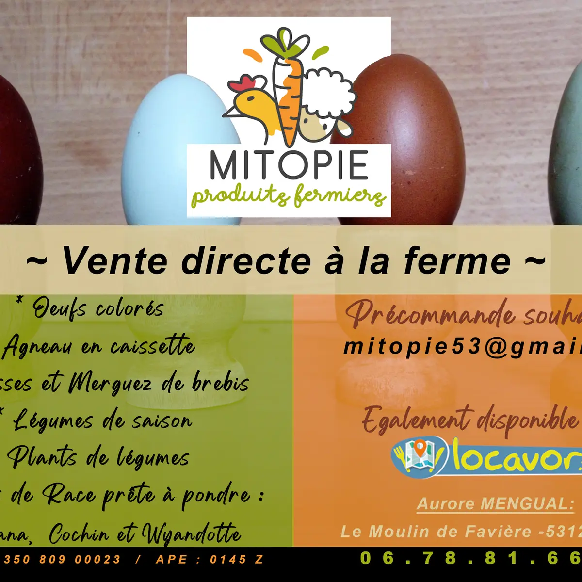 Flyers_MITOPIE_2023