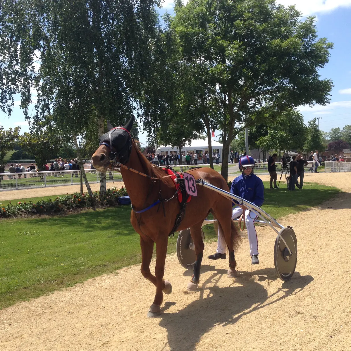 Hippodrome ©Laval Tourisme