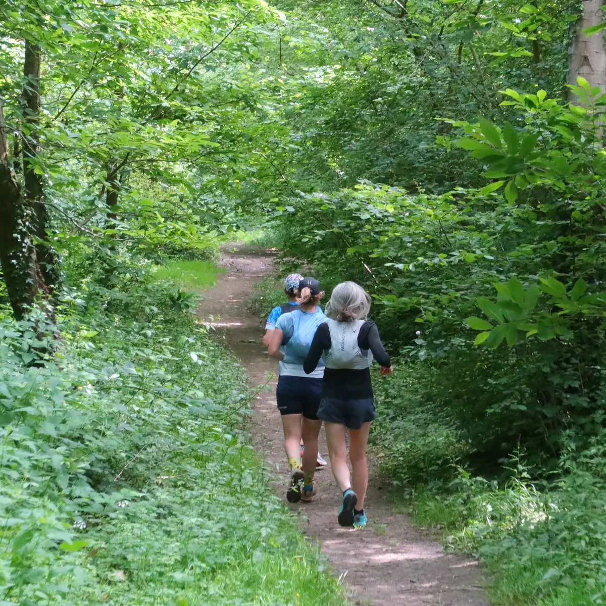 Le Plein d'Aventure !