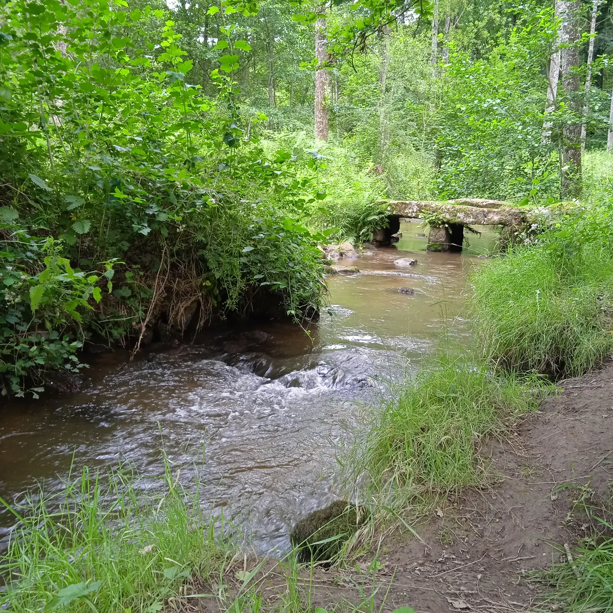 Niort - sentier au fil du temps
