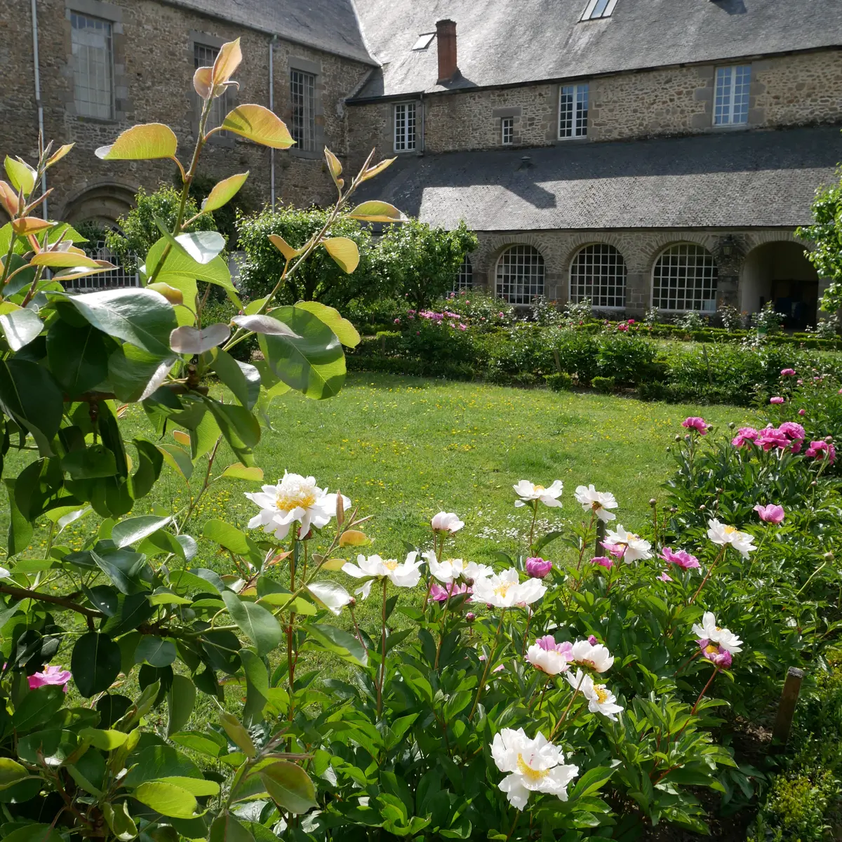 ABBAYE DE FONTAINE DANIEL