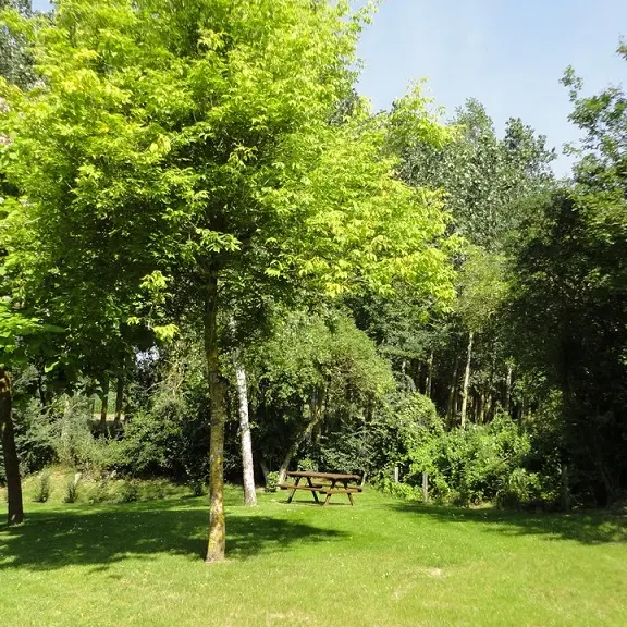 PCU53-Chapelle-du-torticolis-chatres-la-foret