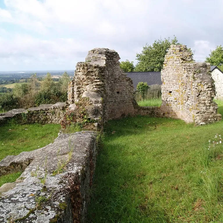 PCU53-Rubricaire-Ste-Gemmes-le-Robert1