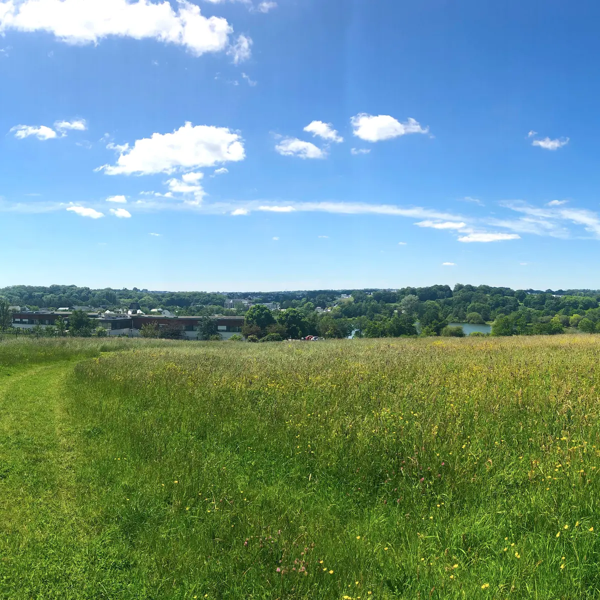 Les deux rives pour Changé