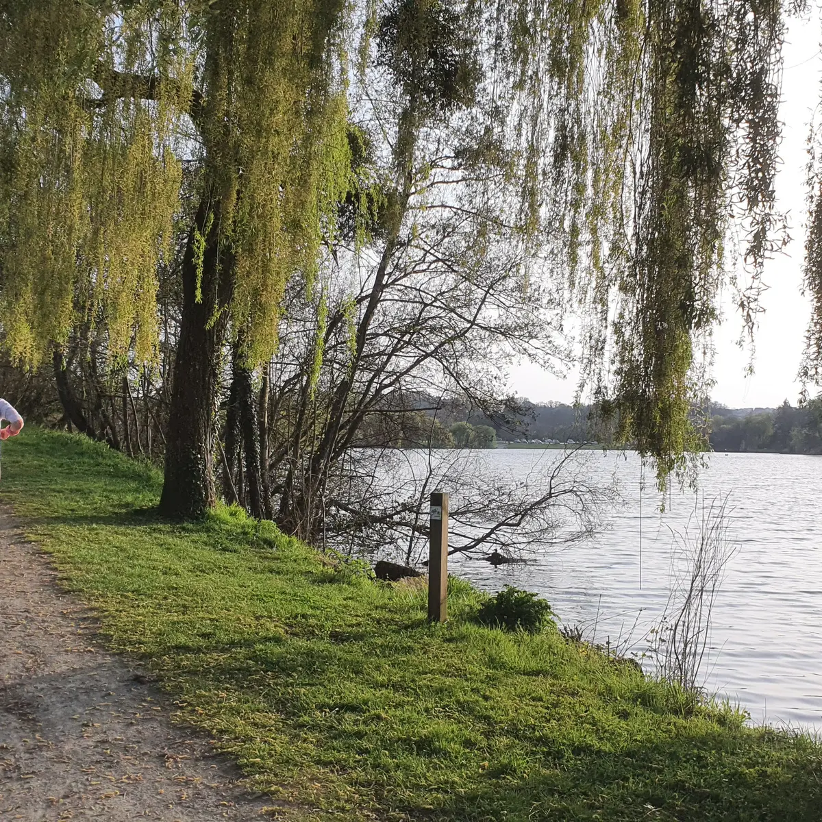 Les deux rives pour Changé