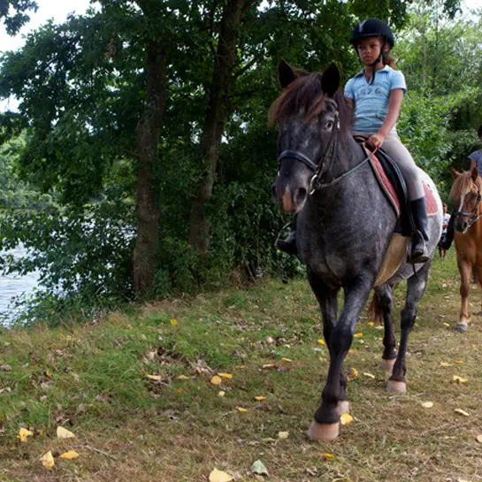 centre-equestre-ambrieres-les-vallees-53-asc-4