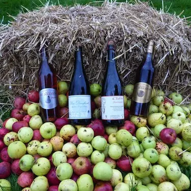 ferme-de-la-geraudais-souce-53-deg-1