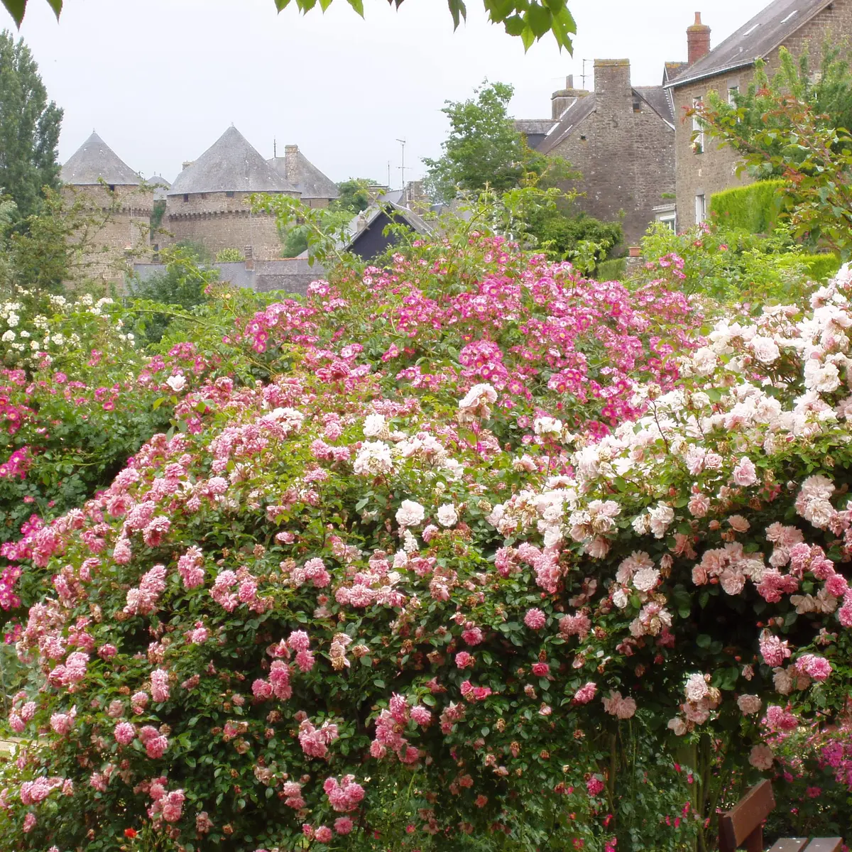 Roseraie de Lassay-les-Châteaux