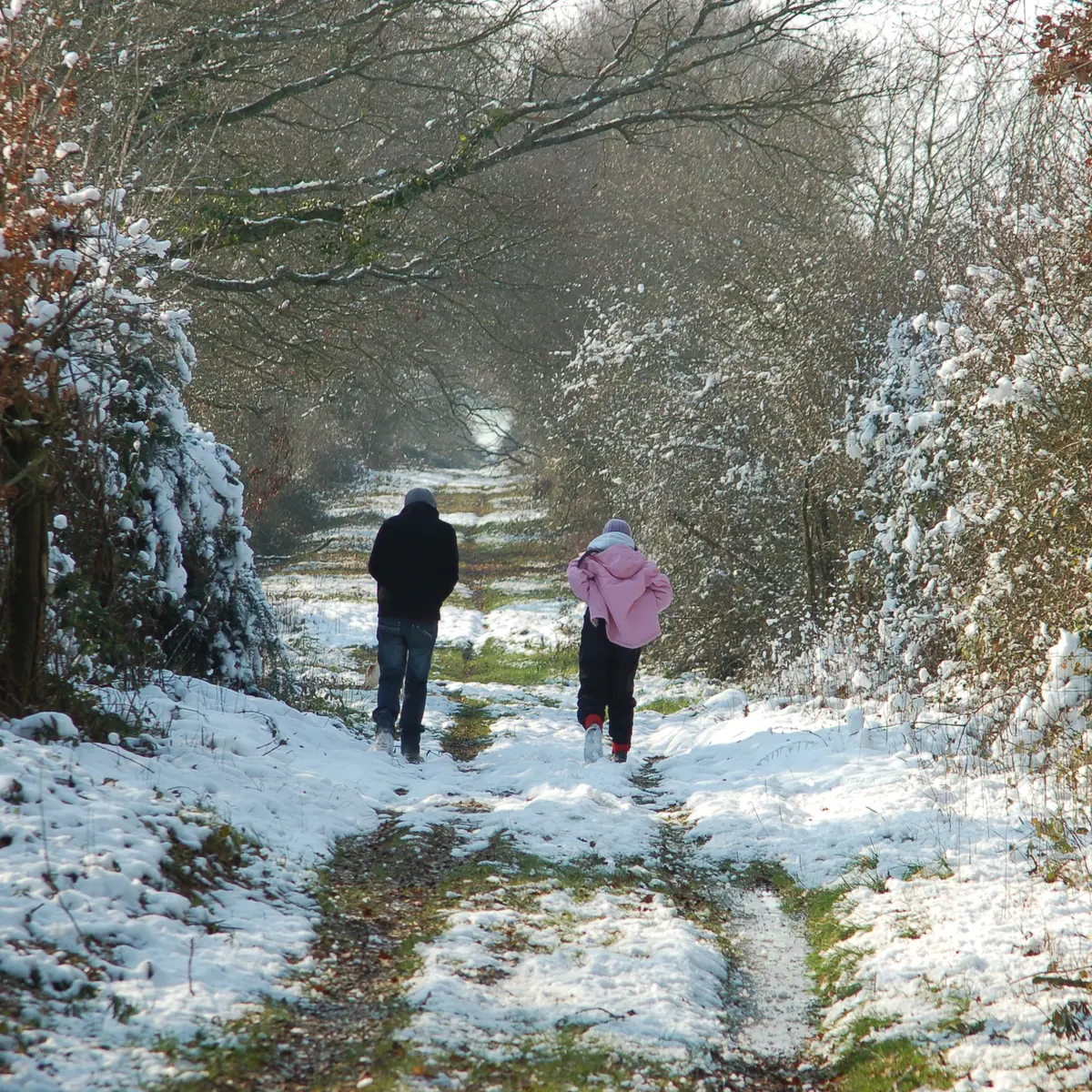 ITI53 - pédestres - neige