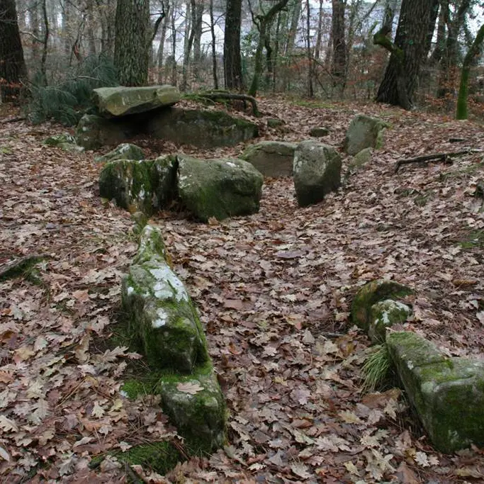 Bois de Kerzuc - Dolmen - CRACH - Morbihan Bretagne Sud