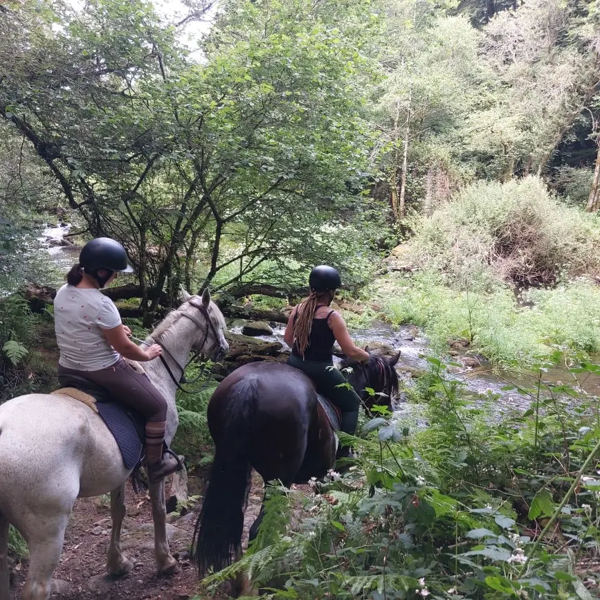 511169635_122167843766504313_3216409059169886581_n