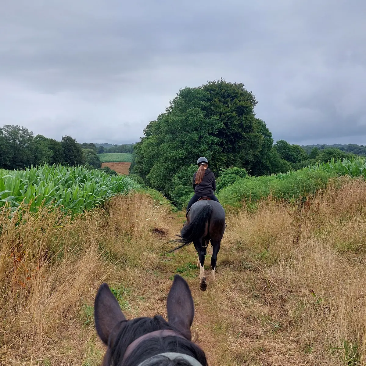 518801740_122170990994504313_8660690168155521502_n