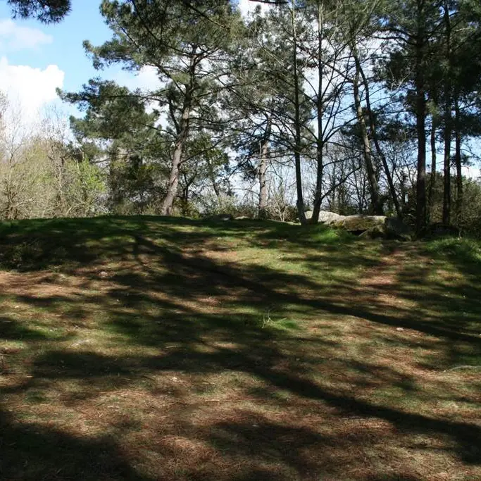 Bois de Toulvern - Baden - Morbihan Bretagne sud