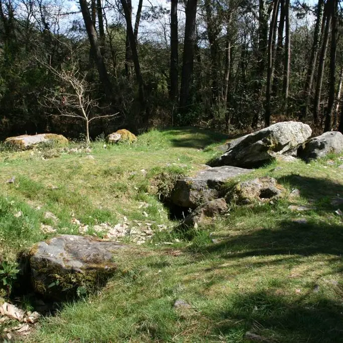 Bois de Toulvern - Dolmen - Baden - Morbihan Bretagne sud