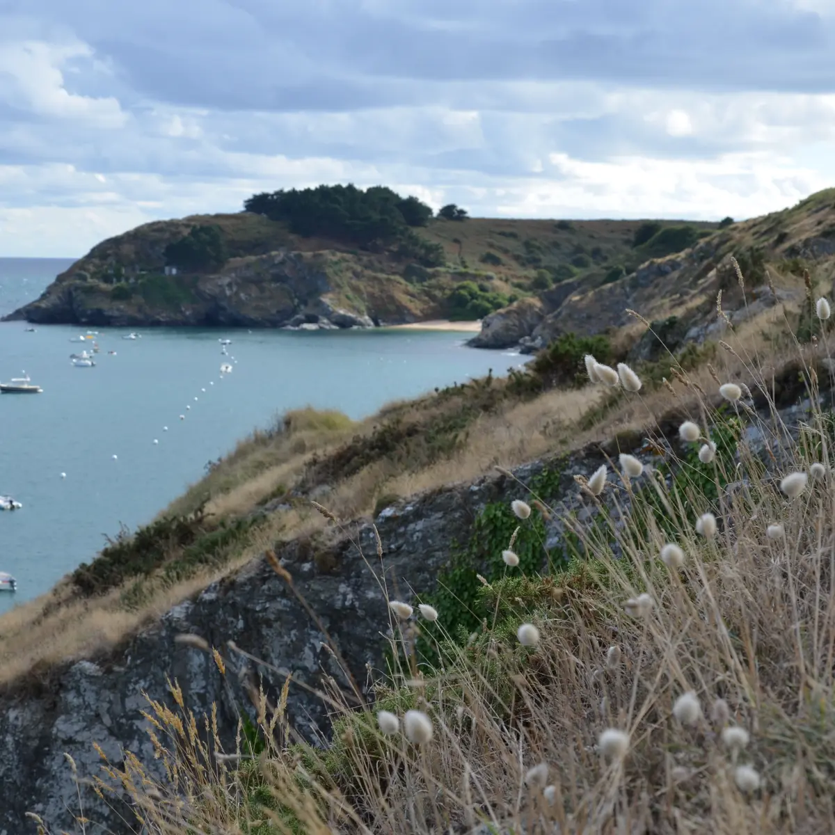 845802_vue_sur_la_plage_de_port_blanc_locmaria_-_fsabatier_atb-crtb_-_ldd