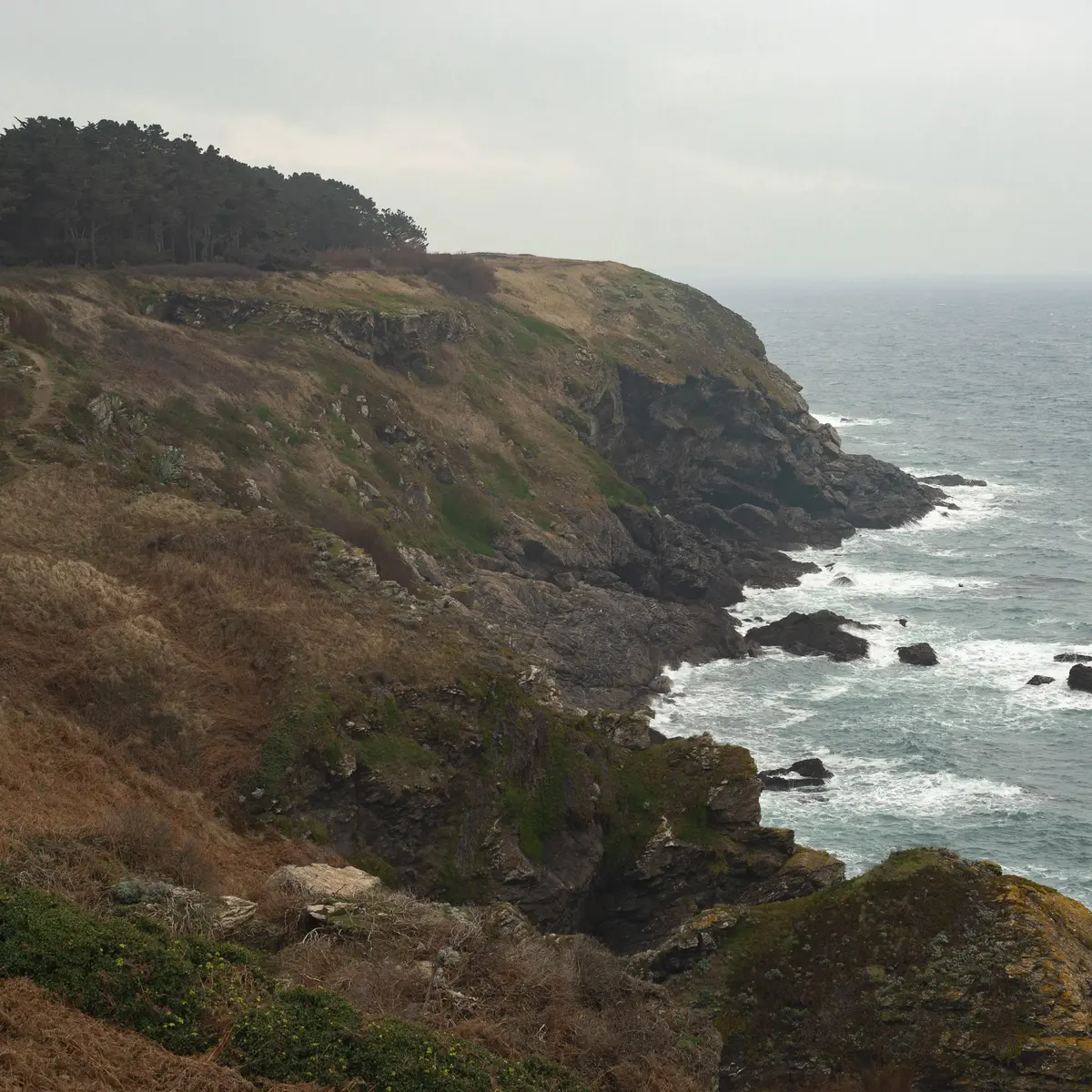 845803_yasmeen_besnier_-_belle-ile-en-mer_skeul_en_hiver_chemin_sur_la_falaise